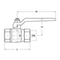 Ball valve Type: 1607 Brass Internal thread (BSPP) PN16 to PN80
